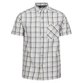 Silver Grey-Ash-White-Marshmallow - Front - Regatta Mens Mindano VIII Checked Short-Sleeved Shirt