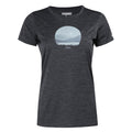 Seal Grey Marl - Front - Regatta Womens-Ladies Fingal VIII Scenery Marl T-Shirt