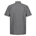 Agave Green-Ash - Back - Regatta Mens Kalambo VIII Checked Shirt