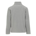 Mineral Grey-Black - Back - Regatta Professional Mens Fleece Jacket