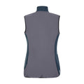 Dark Storm-Orion Grey-Black - Back - Regatta Womens-Ladies Avidly Softshell Gilet