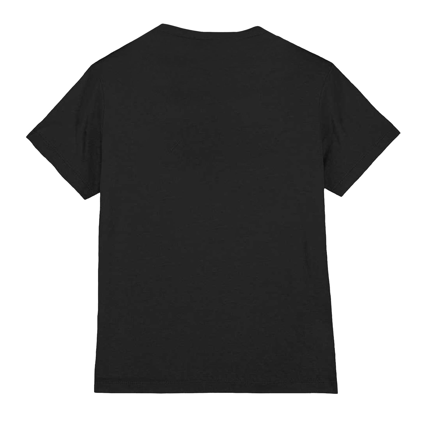 Black - Back - The Punisher Unisex Adult Distressed Logo T-Shirt