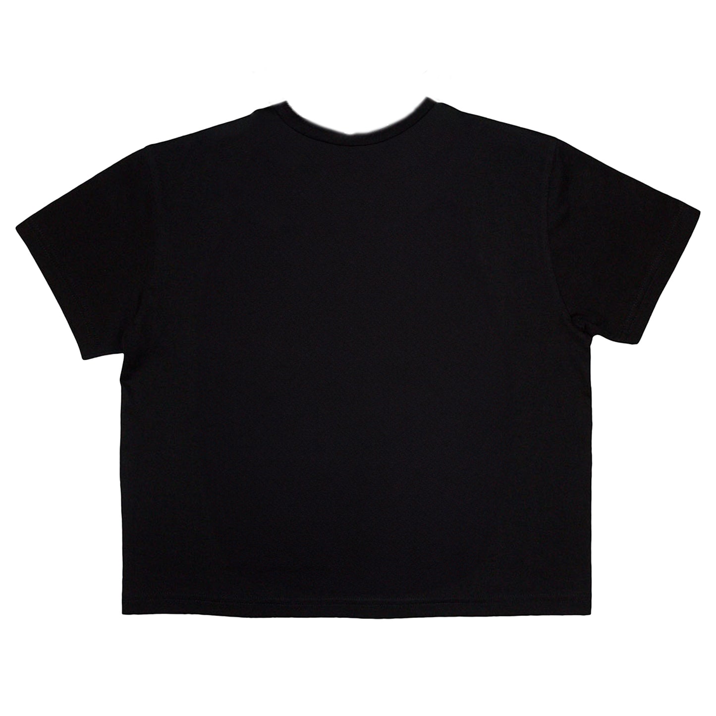 Black - Back - Slayer Womens-Ladies Reign In Blood Crop Top