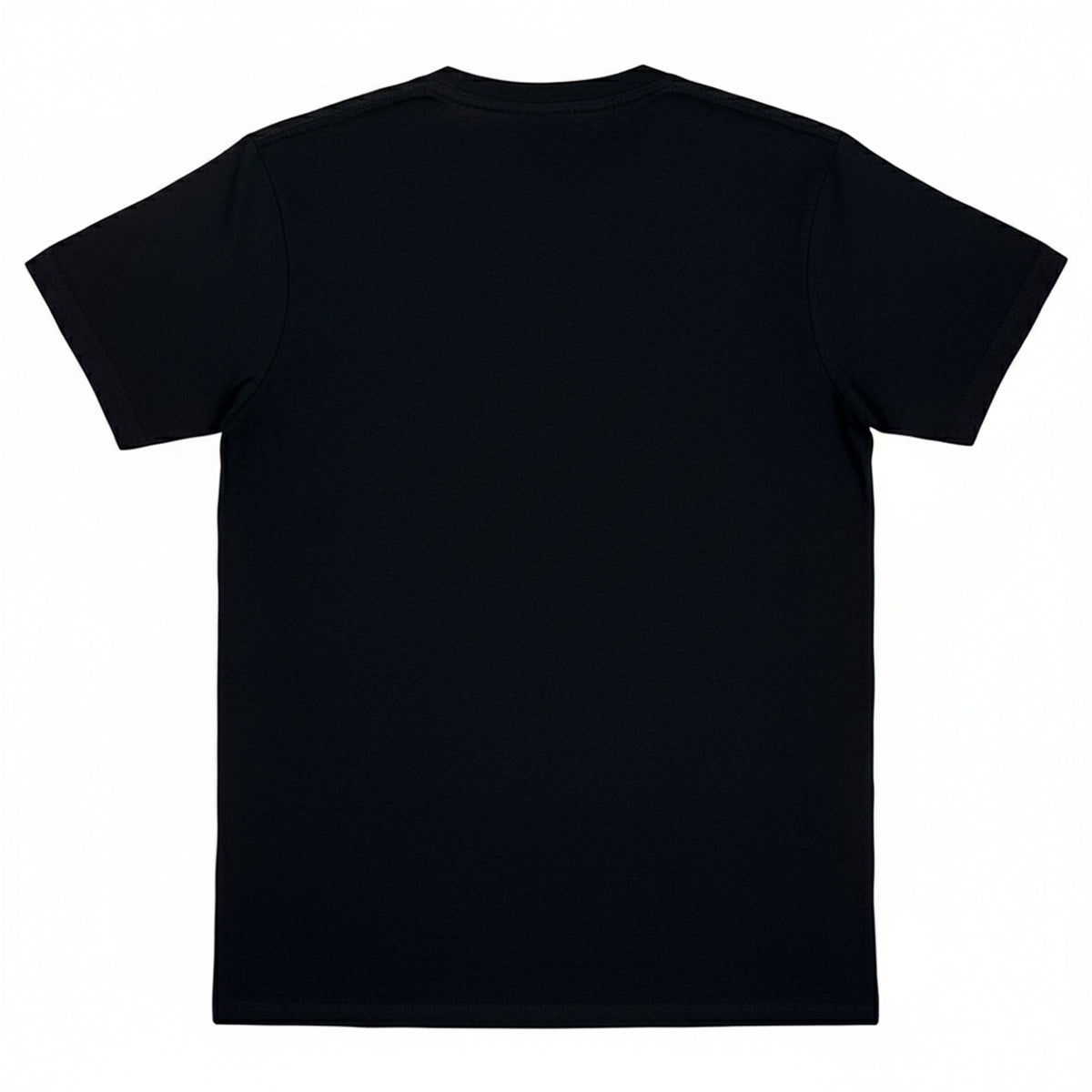 Black - Back - Ed Sheeran Unisex Adult Tiger T-Shirt