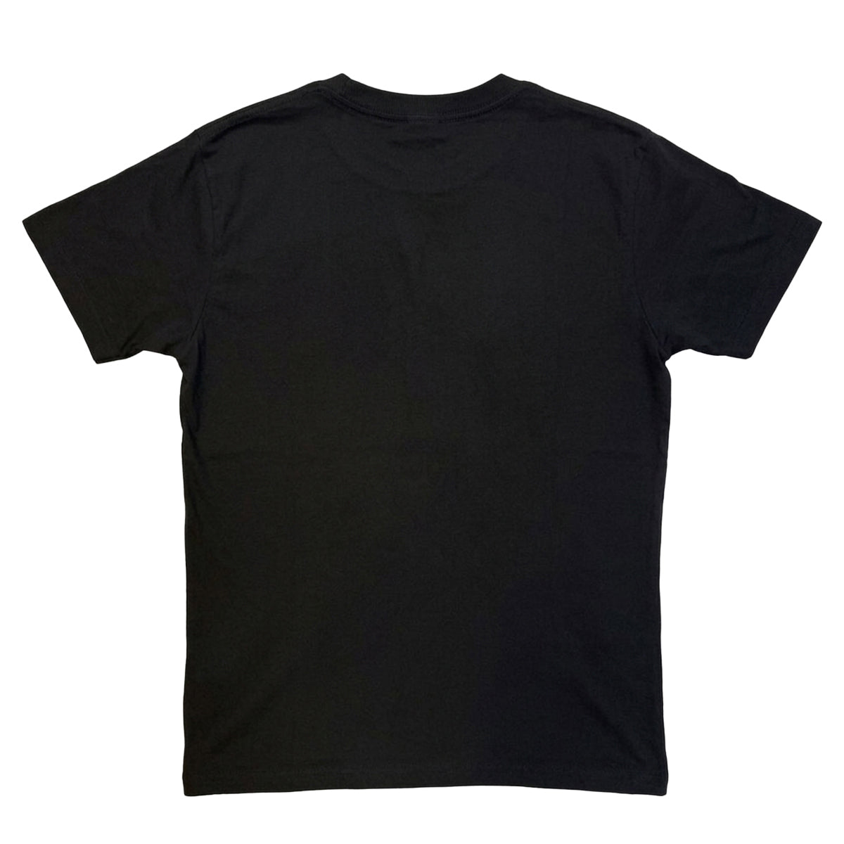 Black - Back - Rainbow Unisex Adult Castle Rainbow T-Shirt