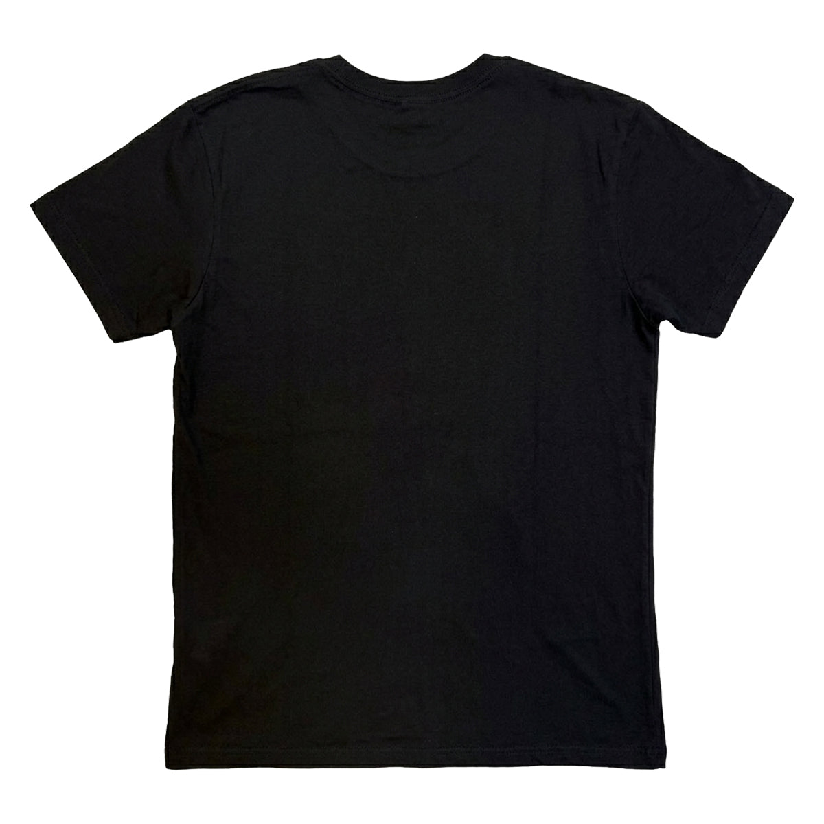 Black - Back - Fall Out Boy Unisex Adult So Much (For) Stardust T-Shirt