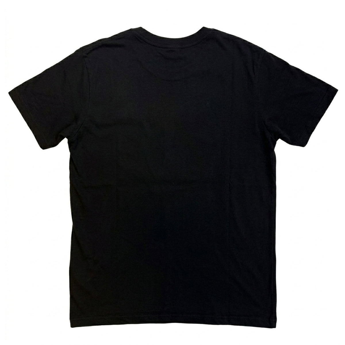 Black - Back - The Rolling Stones Unisex Adult Beggars Banquet Script T-Shirt