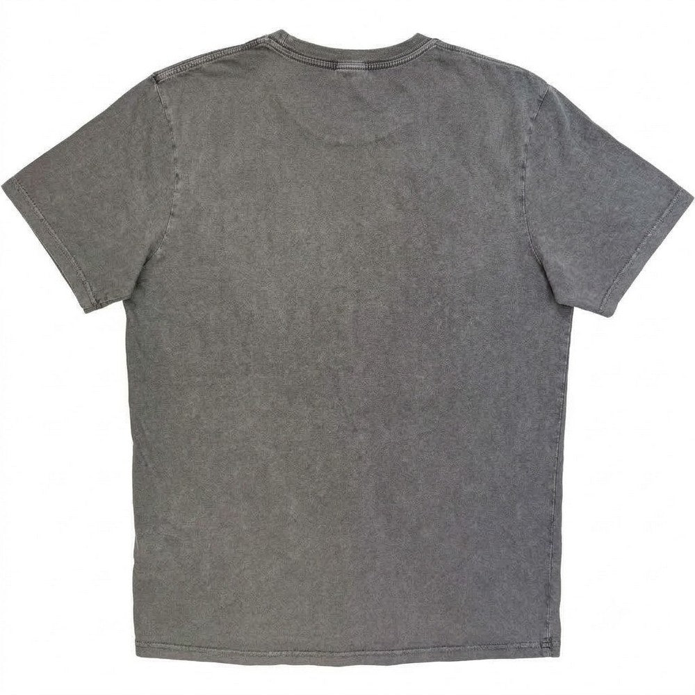 Grey - Back - Foo Fighters Unisex Adult Wrap Stone Wash Logo T-Shirt