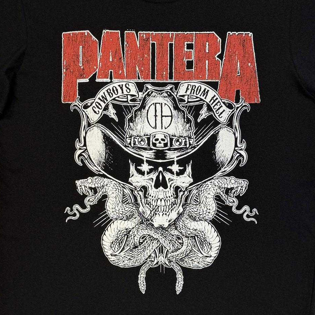 Black - Side - Pantera Unisex Adult Skull & Snake Soft Touch T-Shirt
