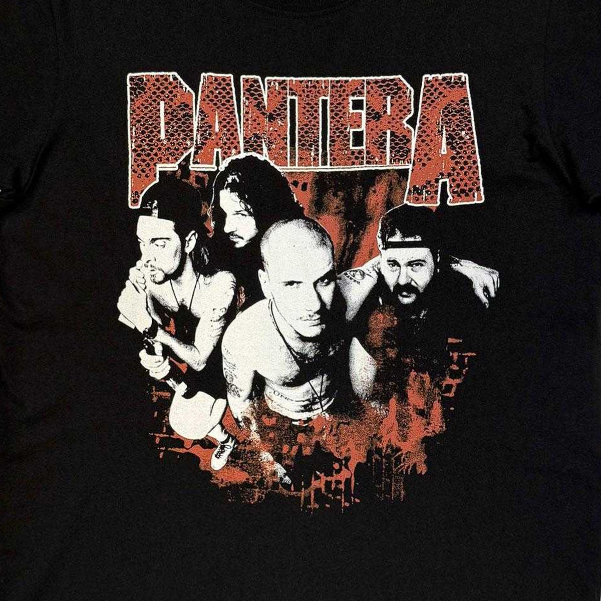 Black - Side - Pantera Unisex Adult Cowboys From Hell Snake Back Print T-Shirt