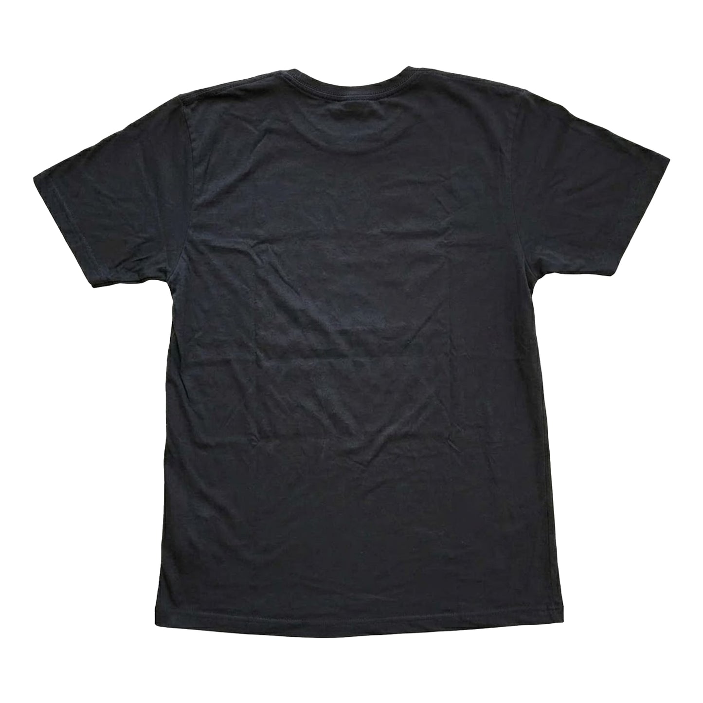 Black - Back - Biggie Smalls Unisex Adult The Notorious T-Shirt