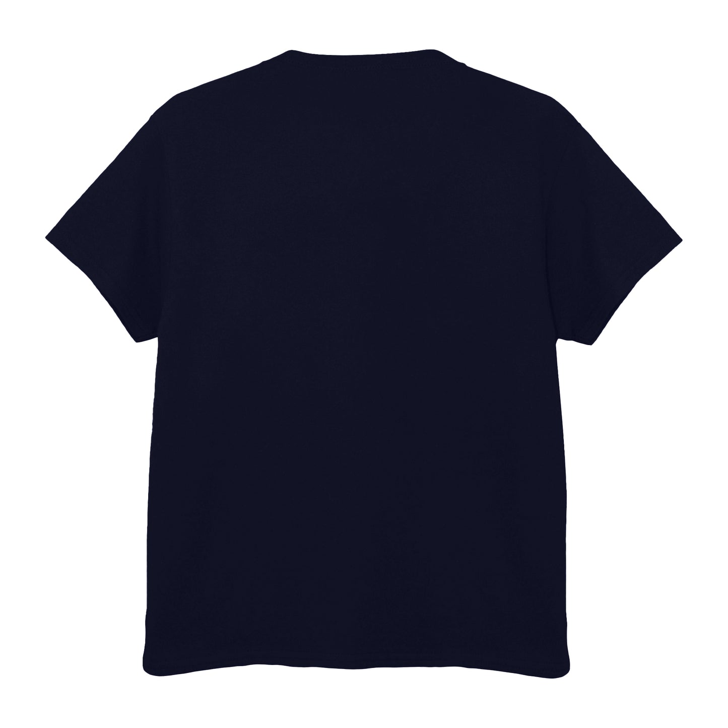 Navy Blue - Back - Jimi Hendrix Unisex Adult Are You Experienced? Cotton T-Shirt