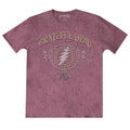 Heather-Cardinal - Front - Grateful Dead Unisex Adult Bolt T-Shirt