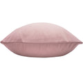 Powder Pink - Back - Evans Lichfield Sunningdale Velvet Cushion Cover