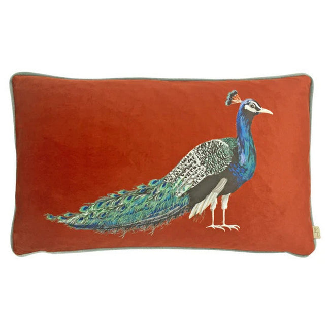 Sunset - Front - Evans Lichfield Peacock Cushion Cover