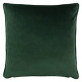 Blush-Green - Back - Paoletti Veadeiros Botanical Cushion Cover