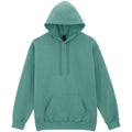 Aquatic - Front - Gildan Unisex Adult Midweight Fleece Hoodie