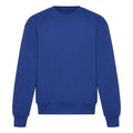 Bright Royal - Front - Awdis Unisex Adult Signature Heavyweight Sweatshirt