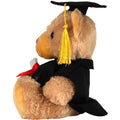Brown - Side - Mumbles Graduation Teddy Bear