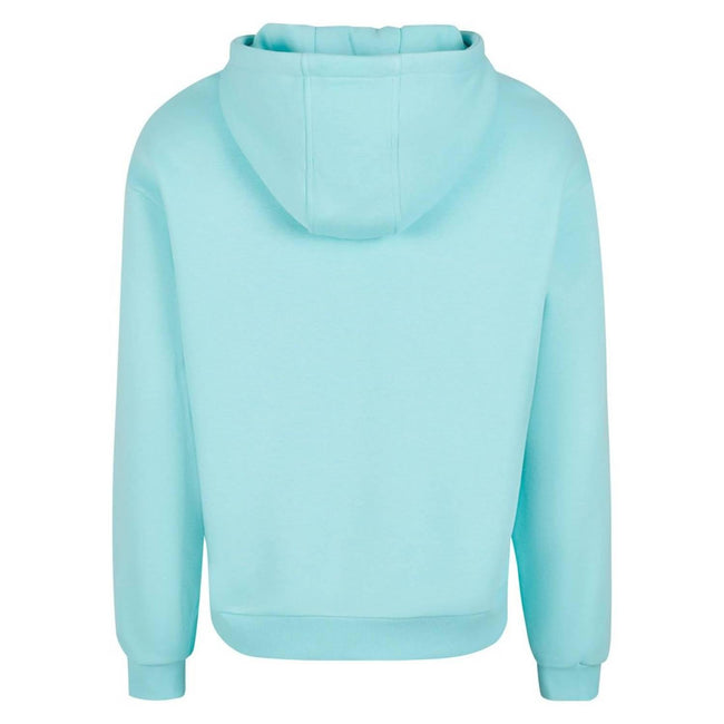 Beryl Blue - Back - Build Your Brand Unisex Adult Fluffy Pullover Hoodie