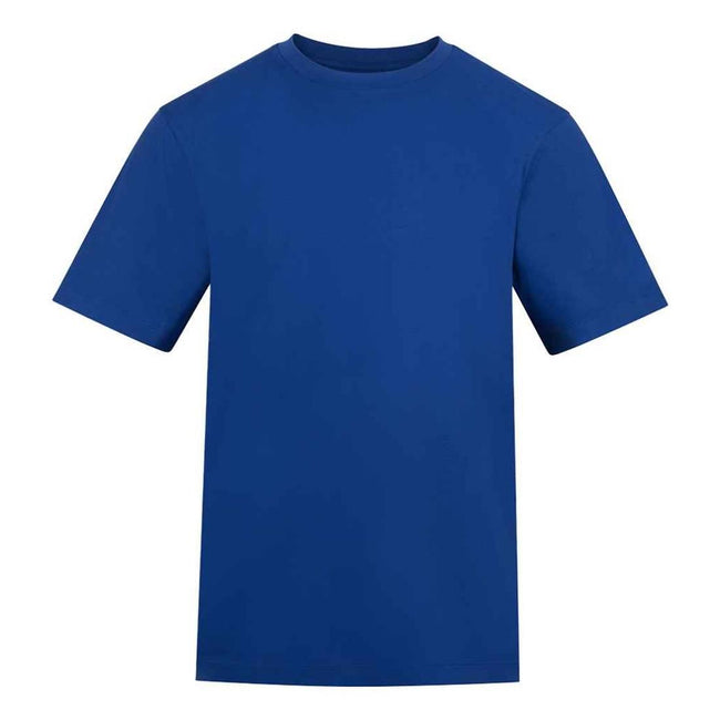 Royal Blue - Front - Awdis Unisex Adult 180 T-Shirt