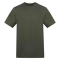 Earthy Green - Front - Awdis Unisex Adult 150 T-Shirt