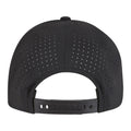 Black - Back - Flexfit Unisex Adult Delta Snapback Baseball Cap