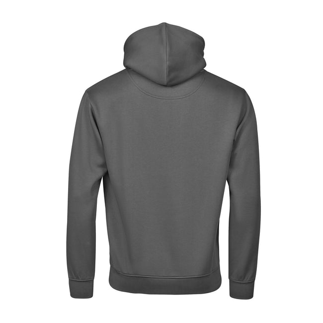 Powder Grey - Back - Tee Jays Unisex Adult Urban Hoodie
