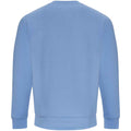 Cornflower Blue - Back - AWDis Just Hoods AWDis Unisex Crew Neck Plain Sweatshirt (280 GSM)