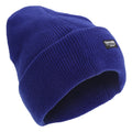 Classic Royal - Front - Regatta Unisex Thinsulate Lined Winter Hat