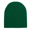 Spruce Green - Front - Yupoong Flexfit Unisex Heavyweight Standard Beanie Winter Hat