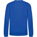 Bright Royal - Back - AWDis Just Hoods Childrens-Kids Plain Crew Neck Sweatshirt