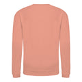 Dusty Pink - Back - AWDis Just Hoods Childrens-Kids Plain Crew Neck Sweatshirt