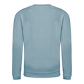 Sky Blue - Back - AWDis Just Hoods Childrens-Kids Plain Crew Neck Sweatshirt