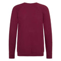 Burgundy - Back - AWDis Academy Childrens-Kids Crew Neck Raglan School Sweatshirt