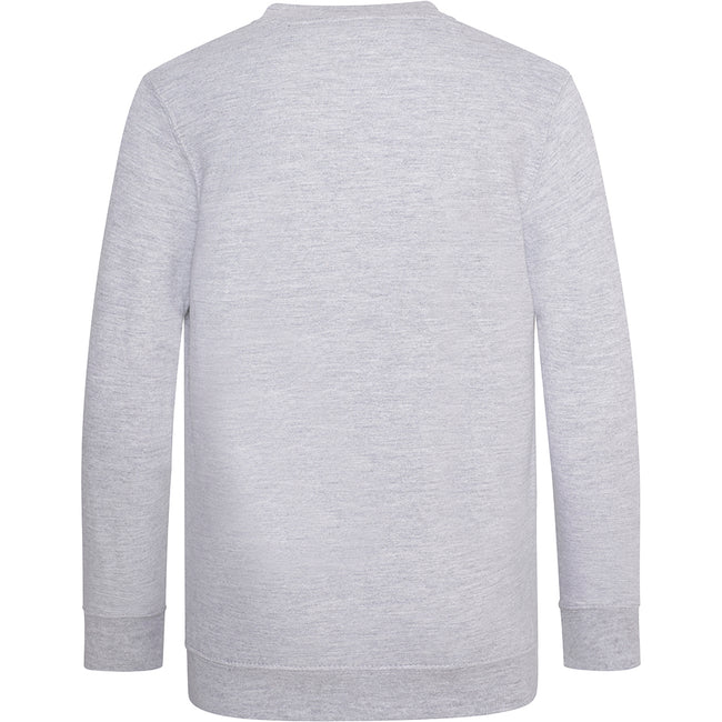 Grey - Back - AWDis Academy Childrens-Kids Junior V Neck School Jumper-Sweatshirt