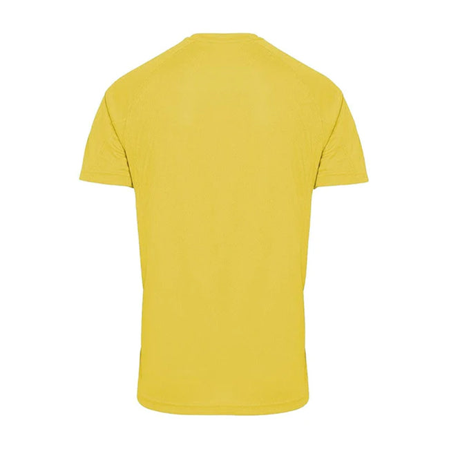 Sun Yellow - Back - Tri Dri Mens Panelled Short Sleeve T-Shirt