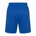 Royal Blue - Back - AWDis Just Cool Childrens-Kids Sports Shorts