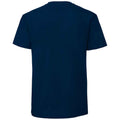 Mountain Blue - Back - Fruit Of The Loom Mens Iconic 195 Ringspun Premium Tshirt
