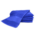 True Blue - Back - A&R Towels Print-Me Big Towel