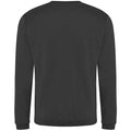 Charcoal - Back - Pro RTX Mens Pro Sweatshirt