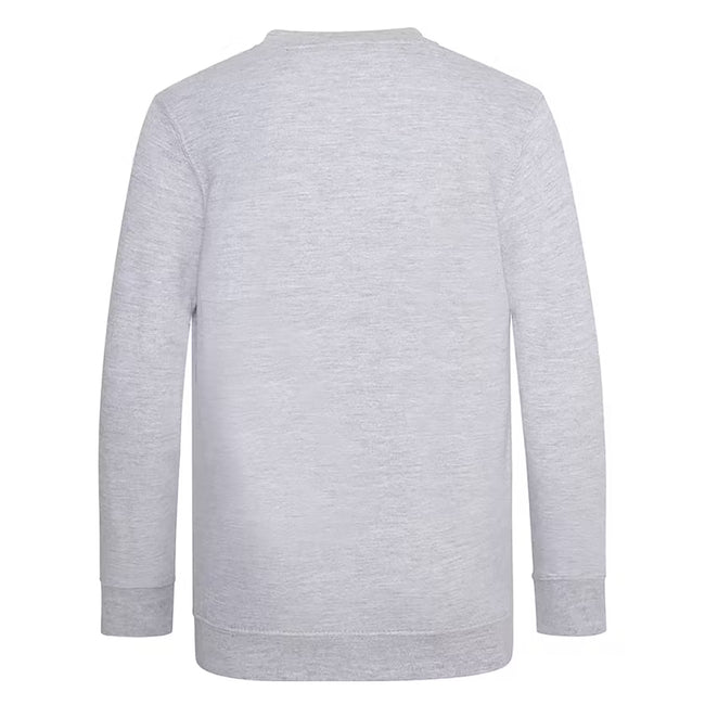 Grey - Back - AWDis Academy Childrens-Kids Junior V Neck School Jumper-Sweatshirt (Pack of 2)