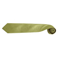 Grass - Back - Premier Mens “Colours” Plain Fashion - Business Tie (Pack of 2)