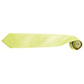 Lime - Back - Premier Mens “Colours” Plain Fashion - Business Tie (Pack of 2)