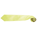 Lime - Back - Premier Mens Fashion ”Colours” Work Clip On Tie (Pack of 2)