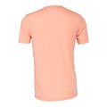 Coral Sunset Heather - Back - Bella + Canvas Adults Unisex Heather Cvc Short Sleeve T-Shirt