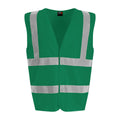 Paramedic Green - Front - PRO RTX Unisex Adult Sleeveless Hi-Vis Vest