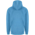 Sky - Back - PRO RTX Mens Hoodie