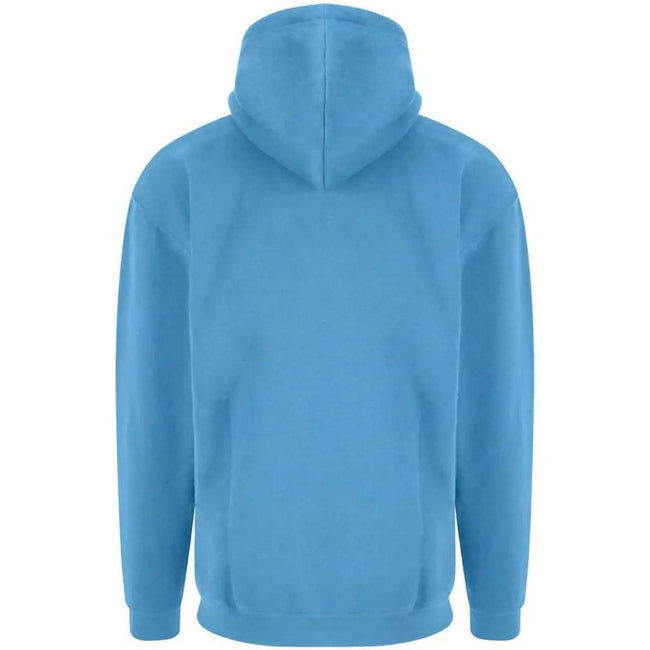 Sky - Back - PRO RTX Mens Hoodie