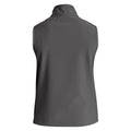 Carbon Grey - Back - Craghoppers Mens Expert Basecamp Softshell Vest